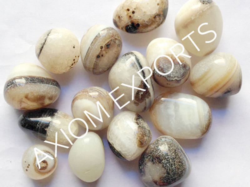 Axiom Exports